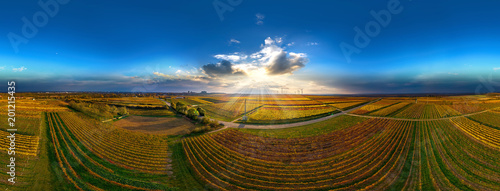 Luftbild Sonnenuntergang über den Weinbergen bei Worms Herrnsheim volle 360°