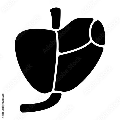 Organe Icon - Prostata