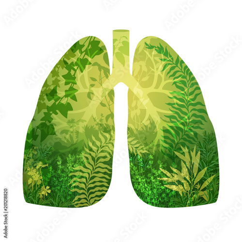 bronchi from green forest