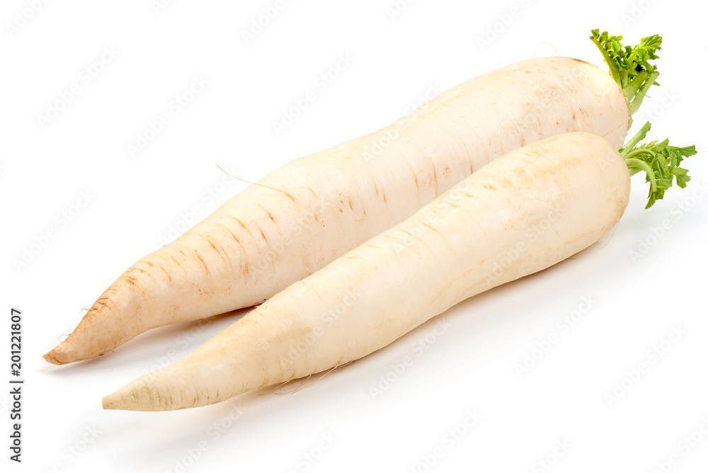 Daikon radishes isolated on white background Daikon radishes isolated on white background