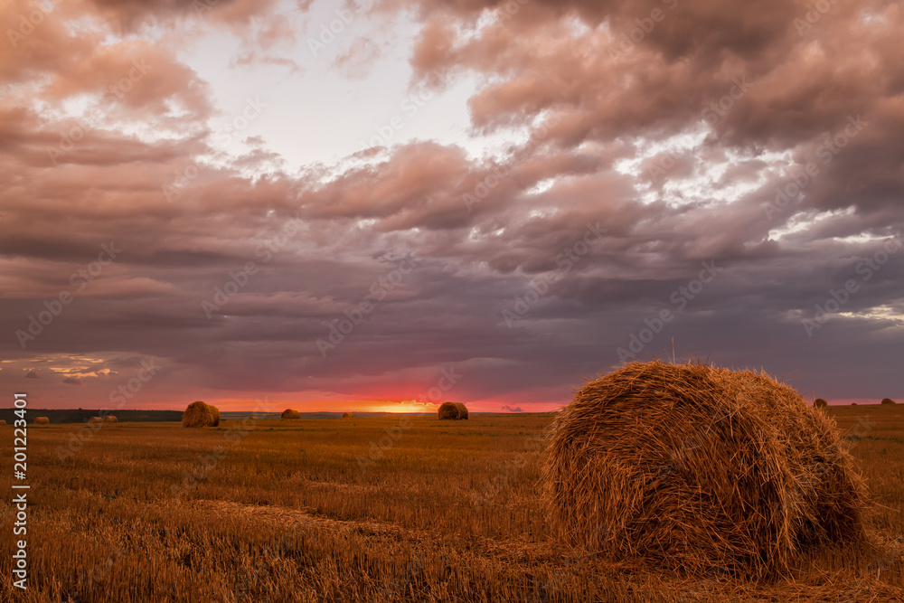 Harvested field, round straw stacks at sunset. The expanse of fields, the sun setting over the horizon.
Harvested field, round straw stacks at sunset. The expanse of fields, the sun setting over the horizon.