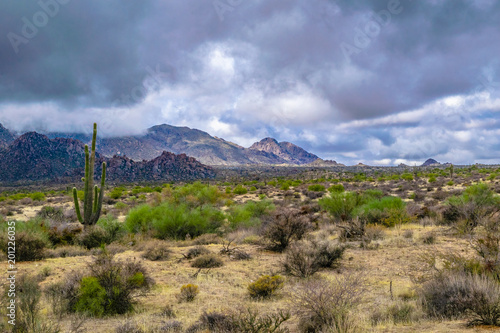 McDowell Wilderness in Arizona Desert photo