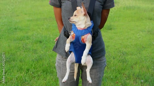 Shoulder Bag puppy dog