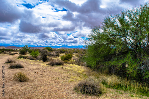 McDowell Wilderness in Arizona Desert