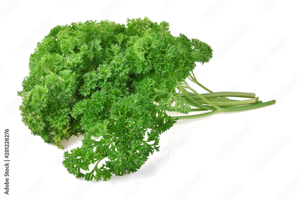 parsley isolated on a white background parsley isolated on a white background