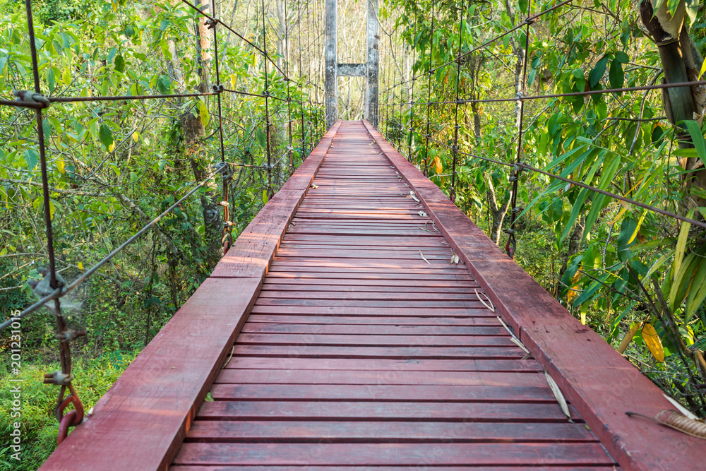 Wood bridge of iron and chain