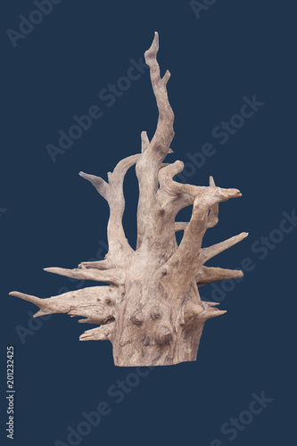 Isolate of beautiful timber used for decorating in the aquarium with clipping path.