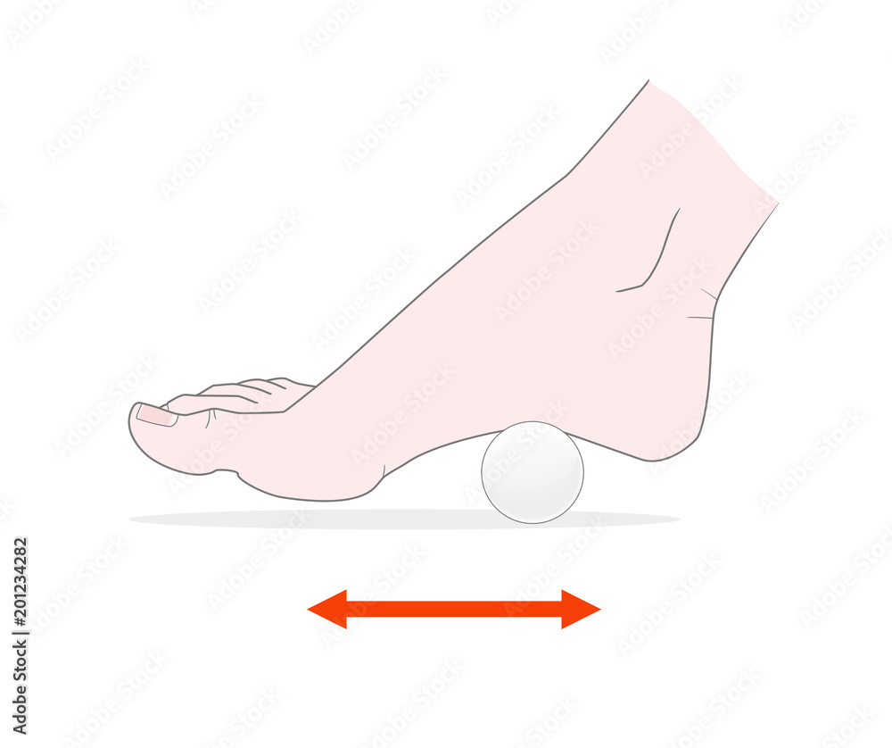 Massage the bare feet with a pingpong ball. Acupuncture. Vector
