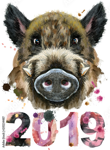Watercolor portrait of wild boar with year 2018