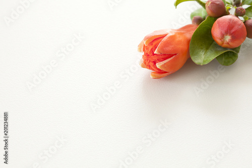 pomegranate flower photo