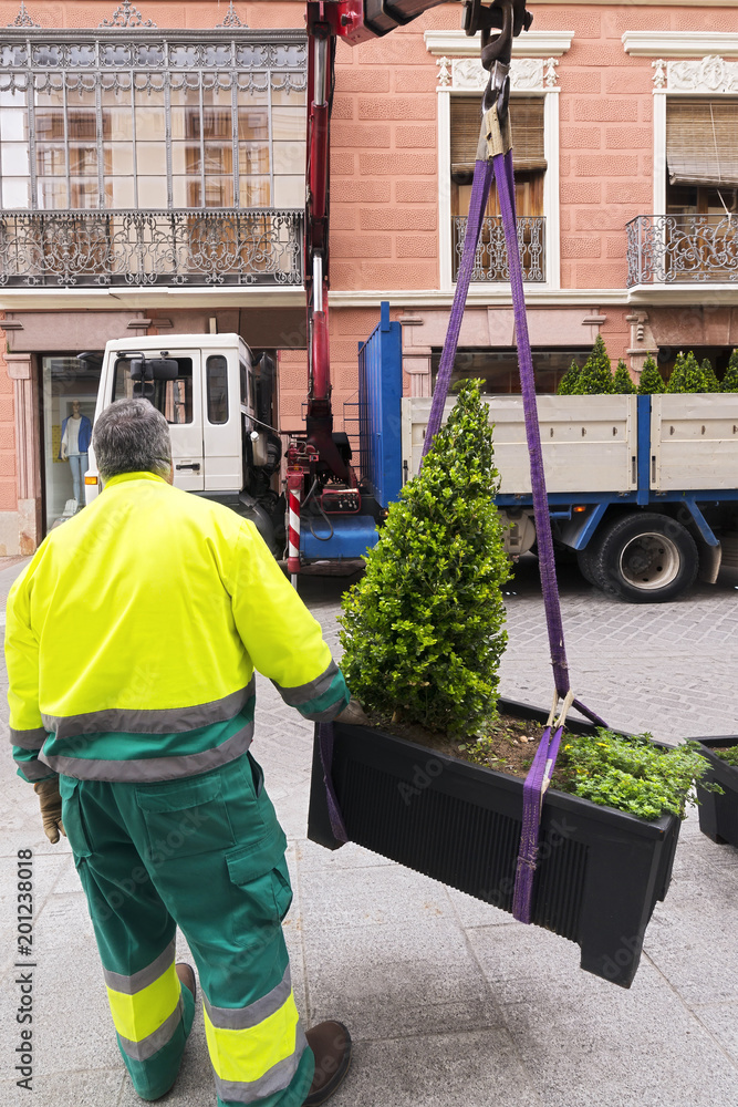 municipal gardener placing decorative planters in street city