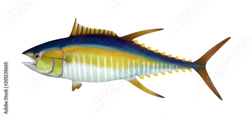 3D Rendering Yellowfin Tuna on White