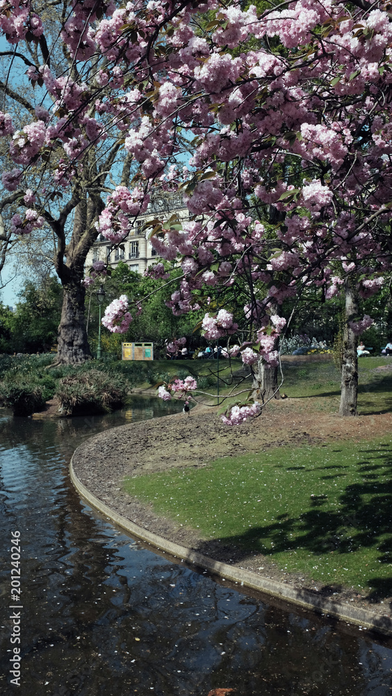 Spring in paris 