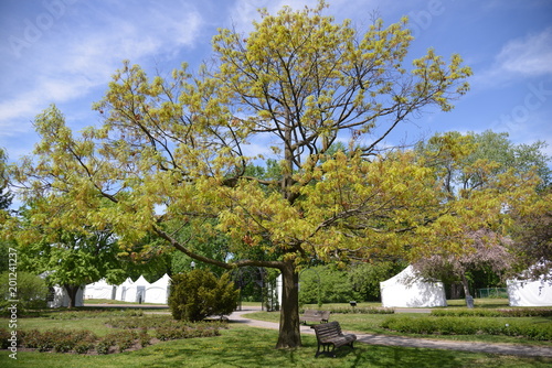 spot- Jardin Botanique & Insectarium