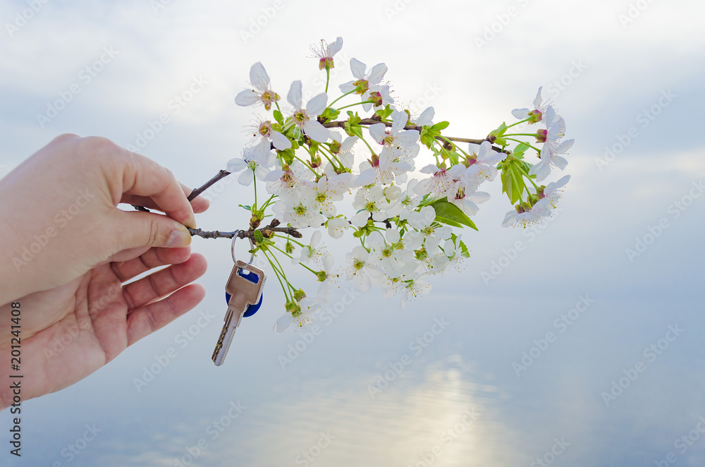 The Key To the New House and the Branch of Cherry Blossoms in Hand. Stock  Photo - Image of branch, ocean: 114723386
