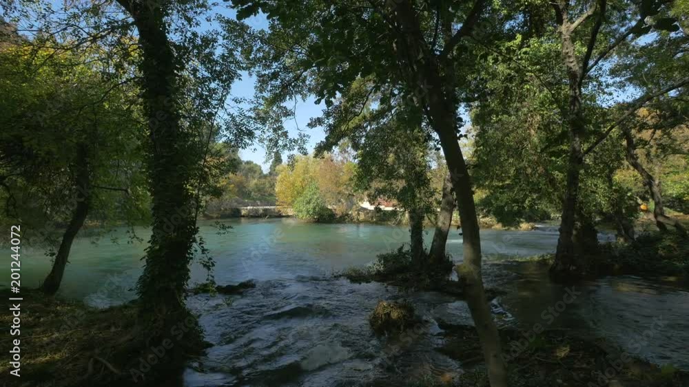 River flowing among the trees River flowing among the trees