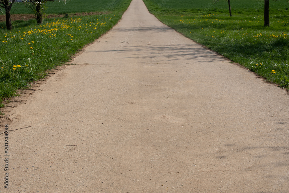 A piece of a small tarred road, which runs between green meadows. A piece of a small tarred road, which runs between green meadows.