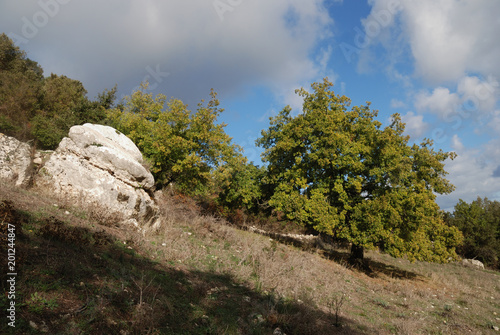 Panorama