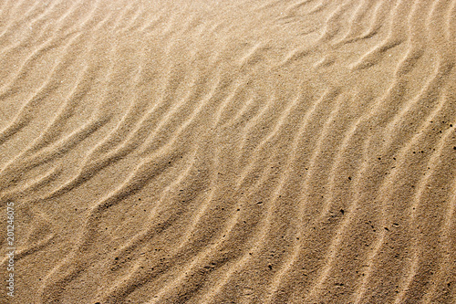 Ripples in sand