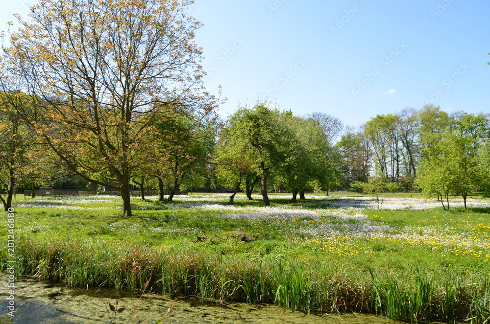 Primavera que te quiero verde