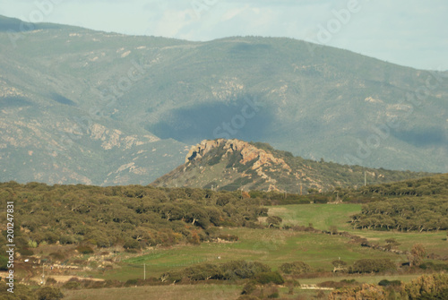 Panorami