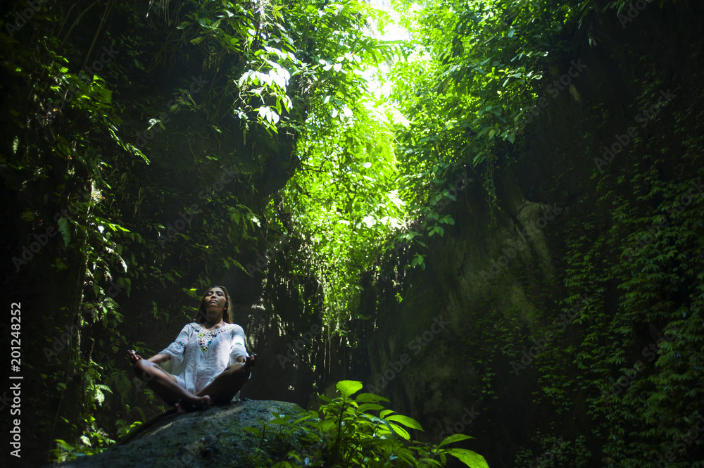 young beautiful Asian woman practicing Yoga posing sitting in lotus position meditating over a stone in a stunning natural landscape full of vegetation young beautiful Asian woman practicing Yoga posing sitting in lotus position meditating over a stone in a stunning natural landscape full of vegetation