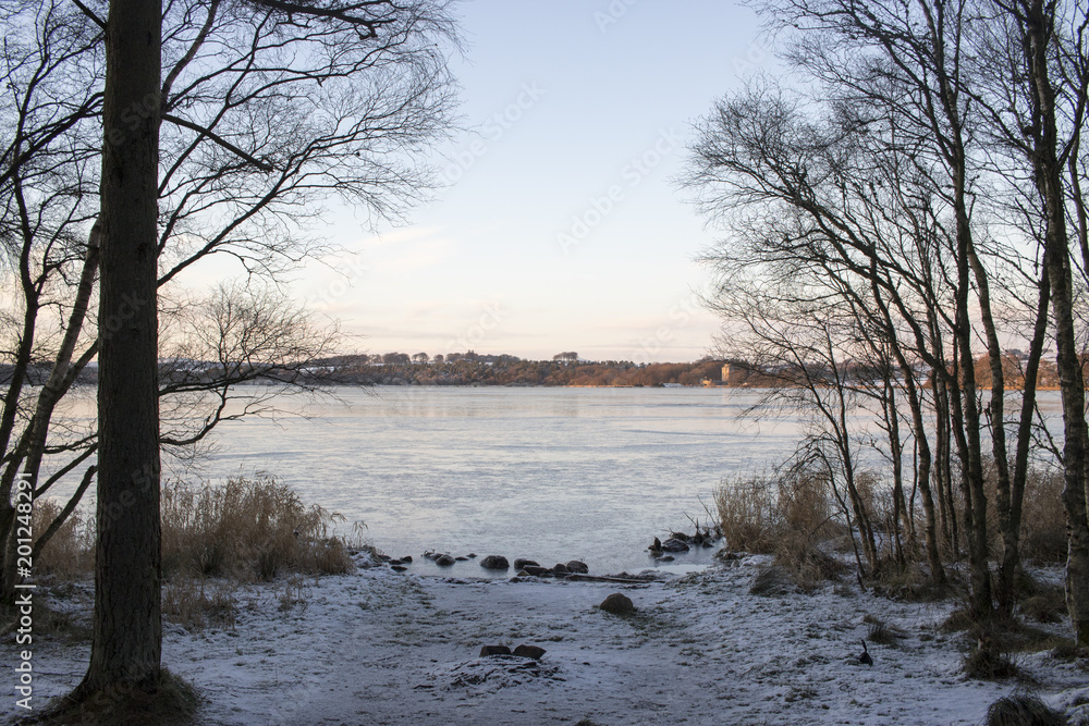 View of Frozen Loch from Shore