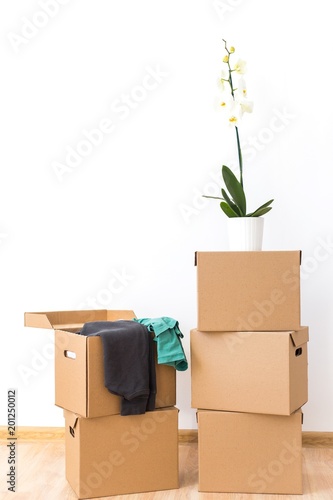 Orchid flower stands on a cardboard box with clothes