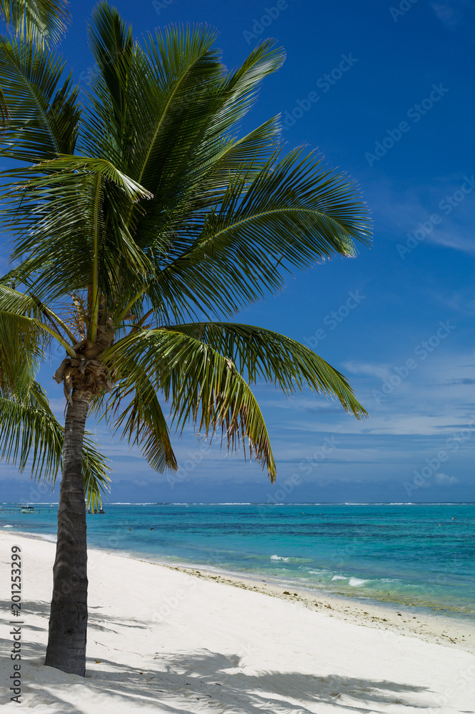 Fototapeta premium Mauritius Strand