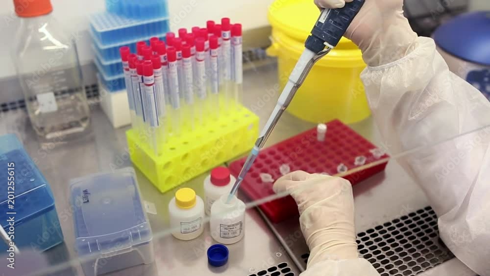 Close-up of female technician with multipipette and in genetic laboratory doing PCR research. Young woman is genetics scientist and she loads saliva samples for DNA amplification Close-up of female technician with multipipette and in genetic laboratory doing PCR research. Young woman is genetics scientist and she loads saliva samples for DNA amplification