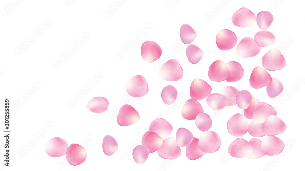 Wedding Sakura Cherry, Rose Petals Floral Confetti. Shower Vector Peach Apple Blossom Soft Sakura Cherry and Rose Confetti Falling Down. Windy Floral Design, Natural Cosmetics Decoration.