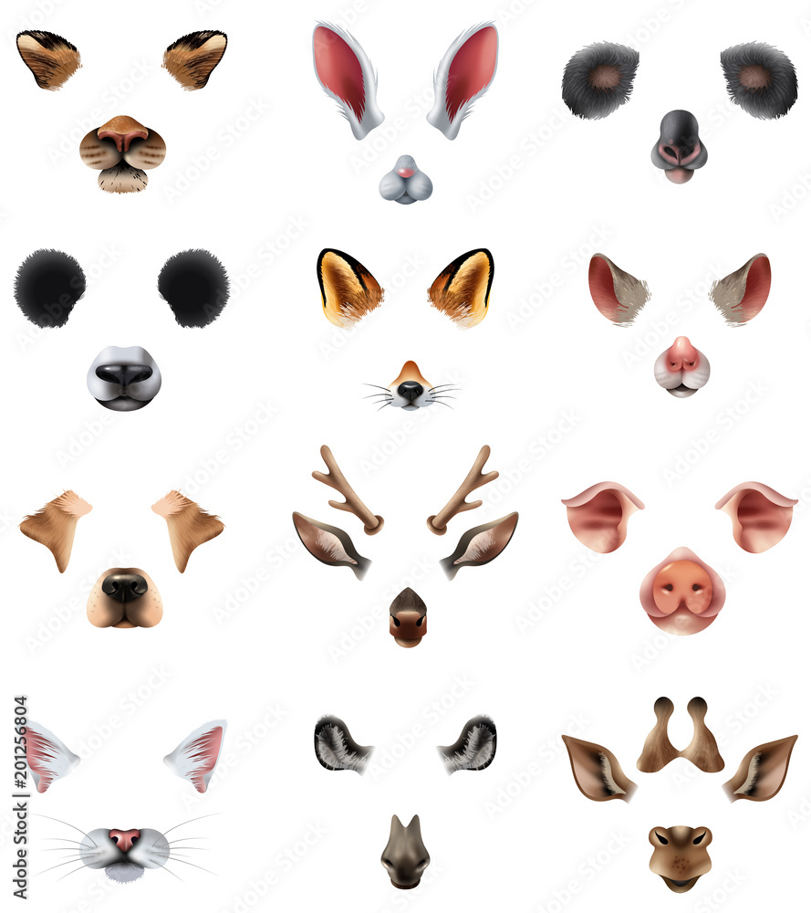 Cute Animal Masks Video Chat Application Effect Filters Set