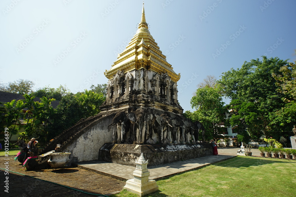 Fototapeta premium 63