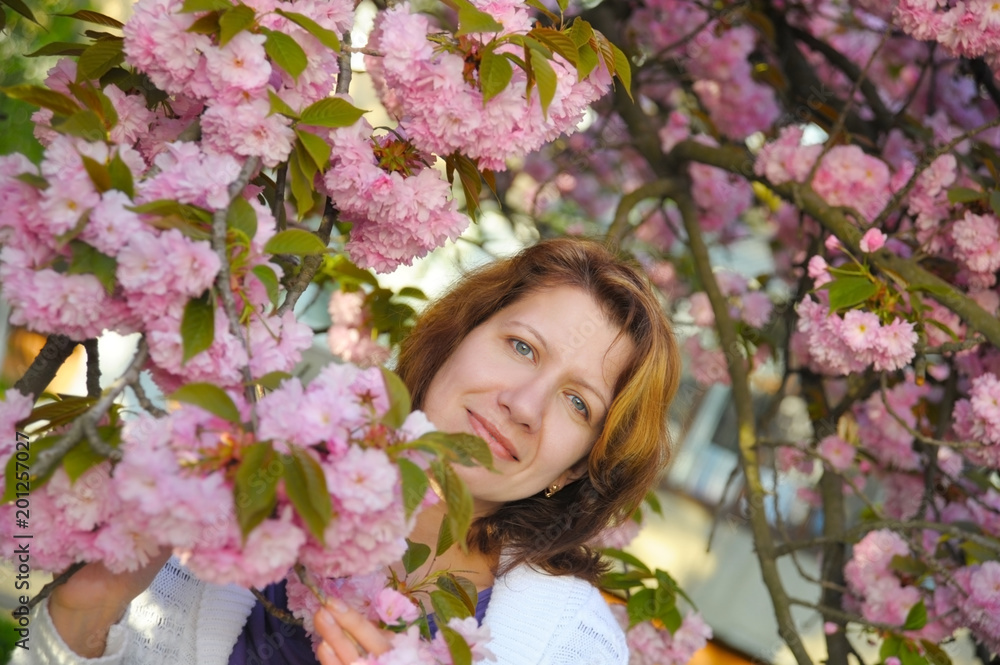 A beautiful woman enjoys the spring. Surrounded by pink flowers in the spring, it looks younger and more beautiful A beautiful woman enjoys the spring. Surrounded by pink flowers in the spring, it looks younger and more beautiful
