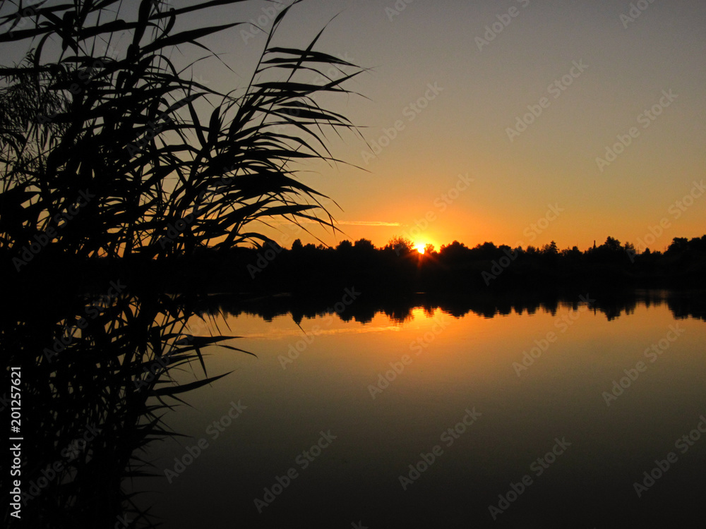 tranquil sunset on the lake with a cane