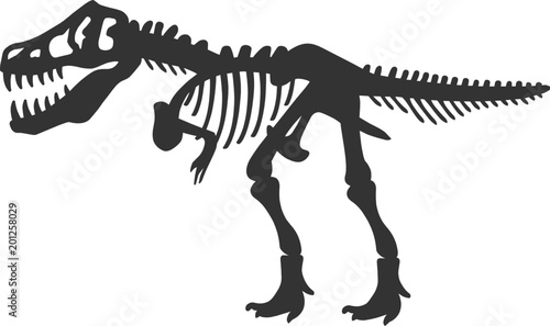 Tyrannosaurus Rex T.Rex Dinosaur Skeleton