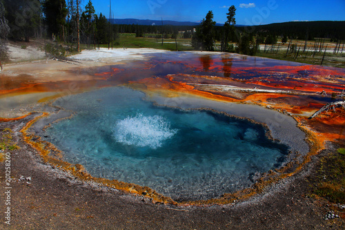 geyser dans le parc national du yellowstone dans le wyoming aux états-unis