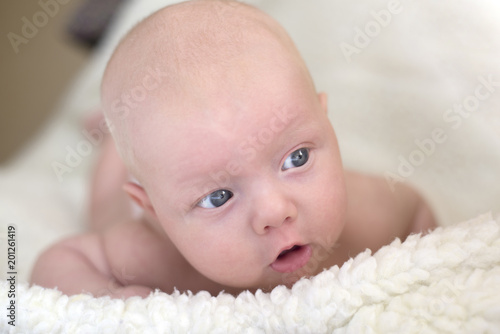 Portrait of a newborn baby lying on his stomach