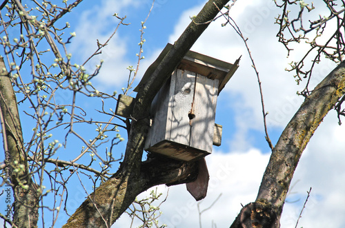 nesting box or birdhouse on the tree in spring