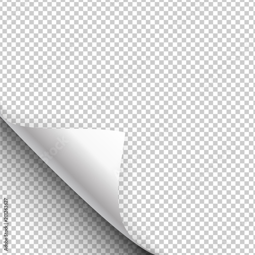 Paper poster hangs with a wrapped up corner. Curled corner with shadow on transparent background realistic vector illustration
