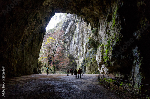 Unesco World Heritage Site Skocjanske Jame  Looking Towards The Deep Gorge With Cave Entrance And Walking Paths.