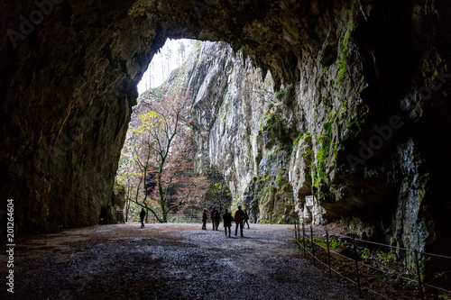 Unesco World Heritage Site Skocjanske Jame Looking Towards The Deep Gorge With Cave Entrance And Walking Paths.