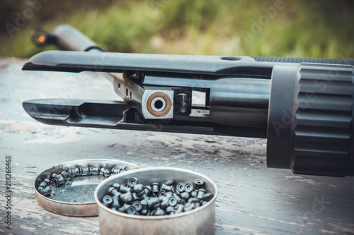 airgun and pellets