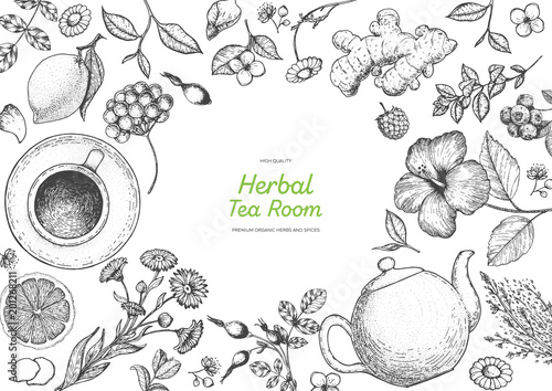 Herbal Tea shop frame vector illustration. Vector design with herbal tea ingredients. Hand drawn sketch collection. Engraved style.