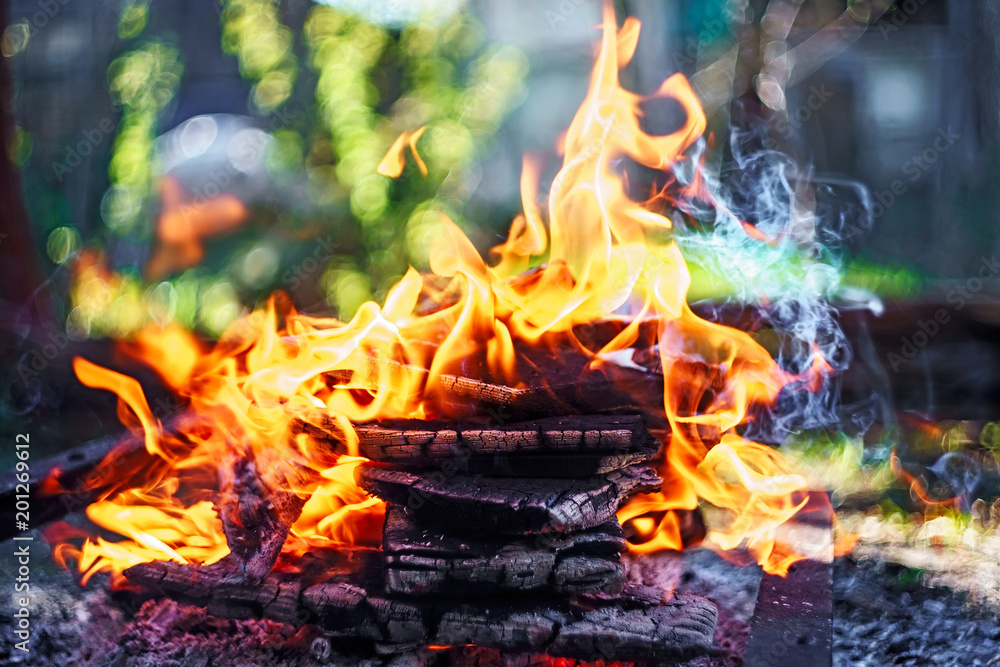 Campfire of wood pile with flame tongues burning at summer sunset at countryside. Natural fire background Campfire of wood pile with flame tongues burning at summer sunset at countryside. Natural fire background