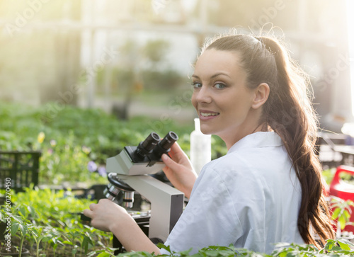Agronomist with microscope in greenhouse