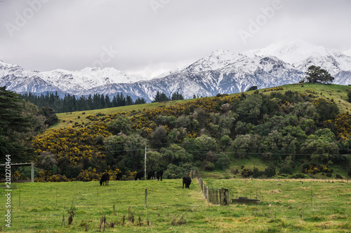 Mountains in New Zealad