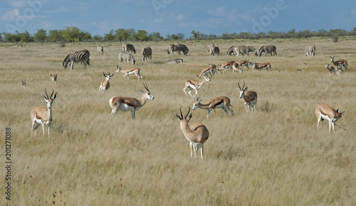 Namibia