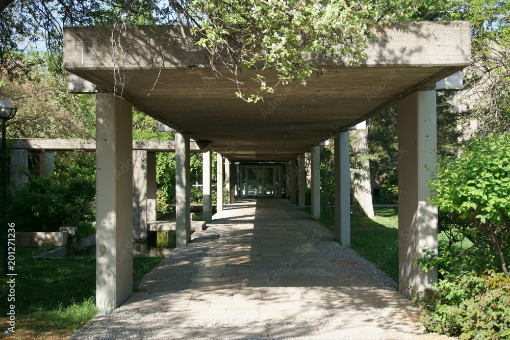 Concrete walking path of a building