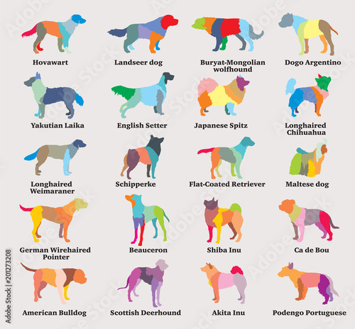 Vector set of colorful mosaic dogs silhouettes-7